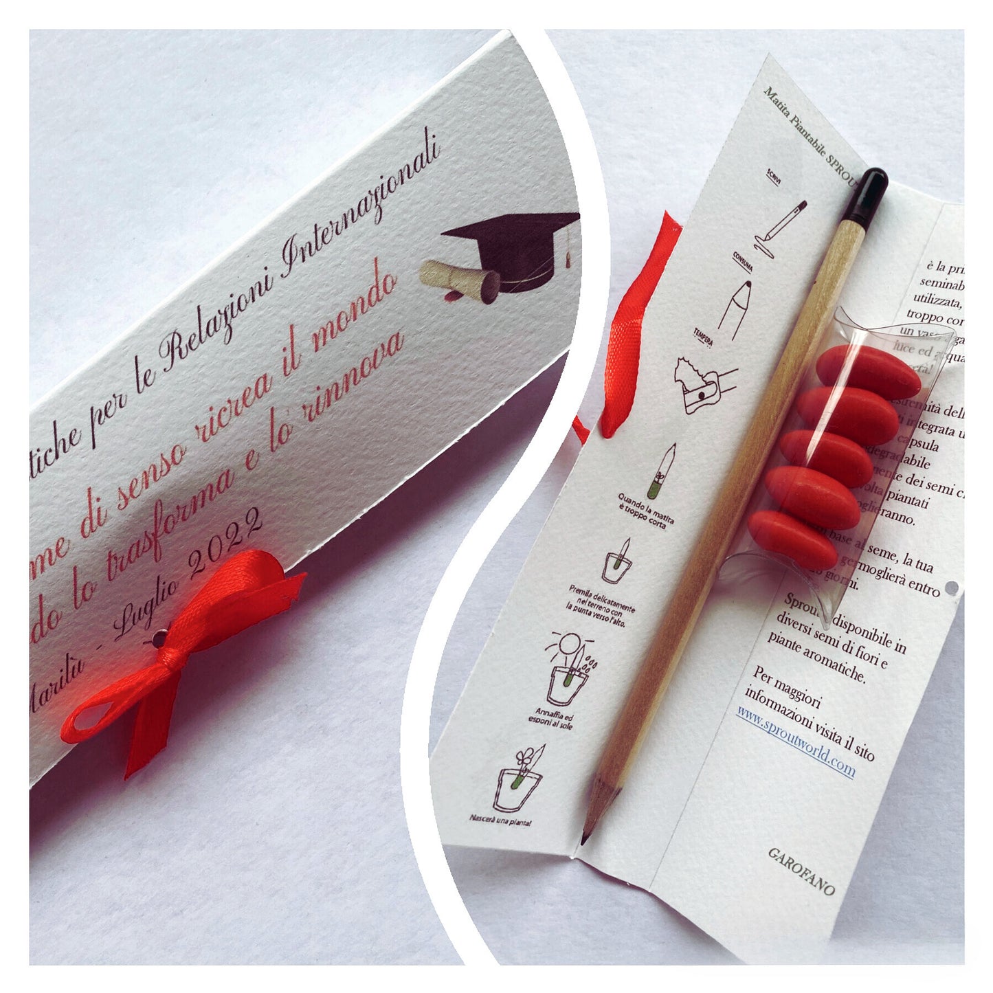 Confezione regalo porta Matita Seminabile personalizzata per Laurea