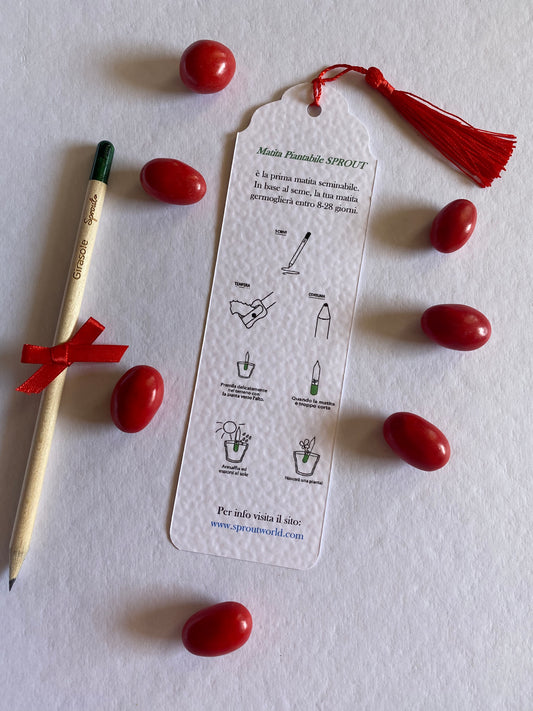 Segnalibro Personalizzato Laurea con Matita Seminabile, confetti e astuccio porta segnalibro