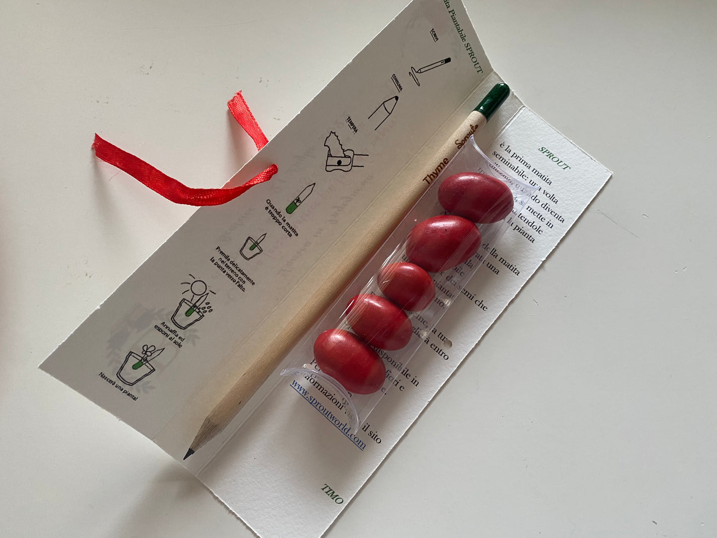 Confezione regalo porta Matita Seminabile personalizzata per Laurea