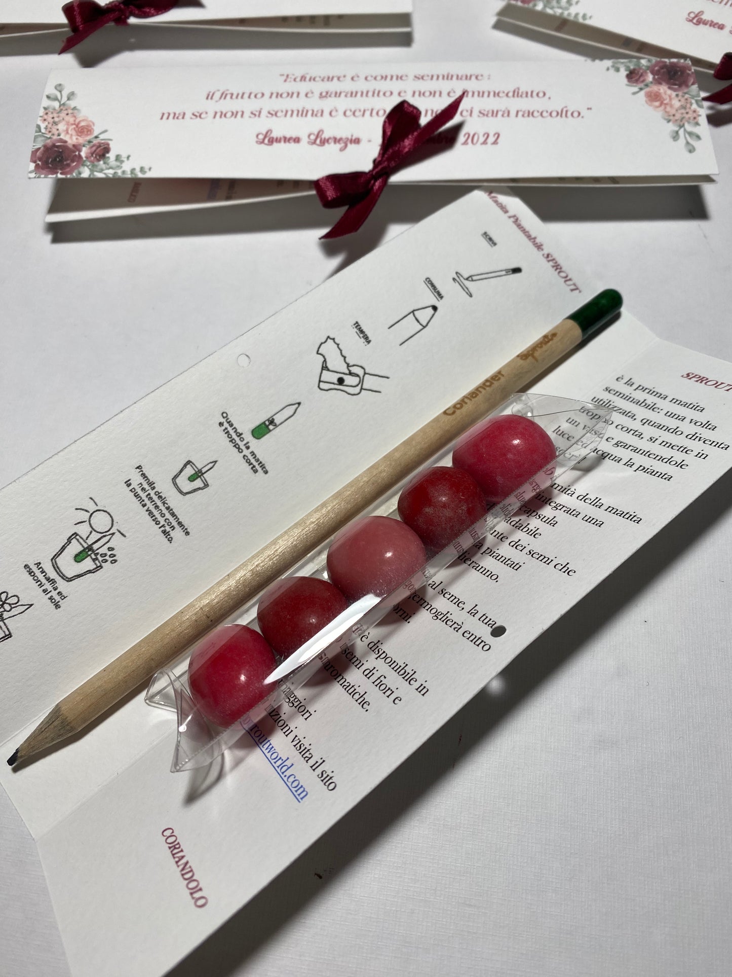Confezione regalo porta Matita Seminabile personalizzata per Laurea
