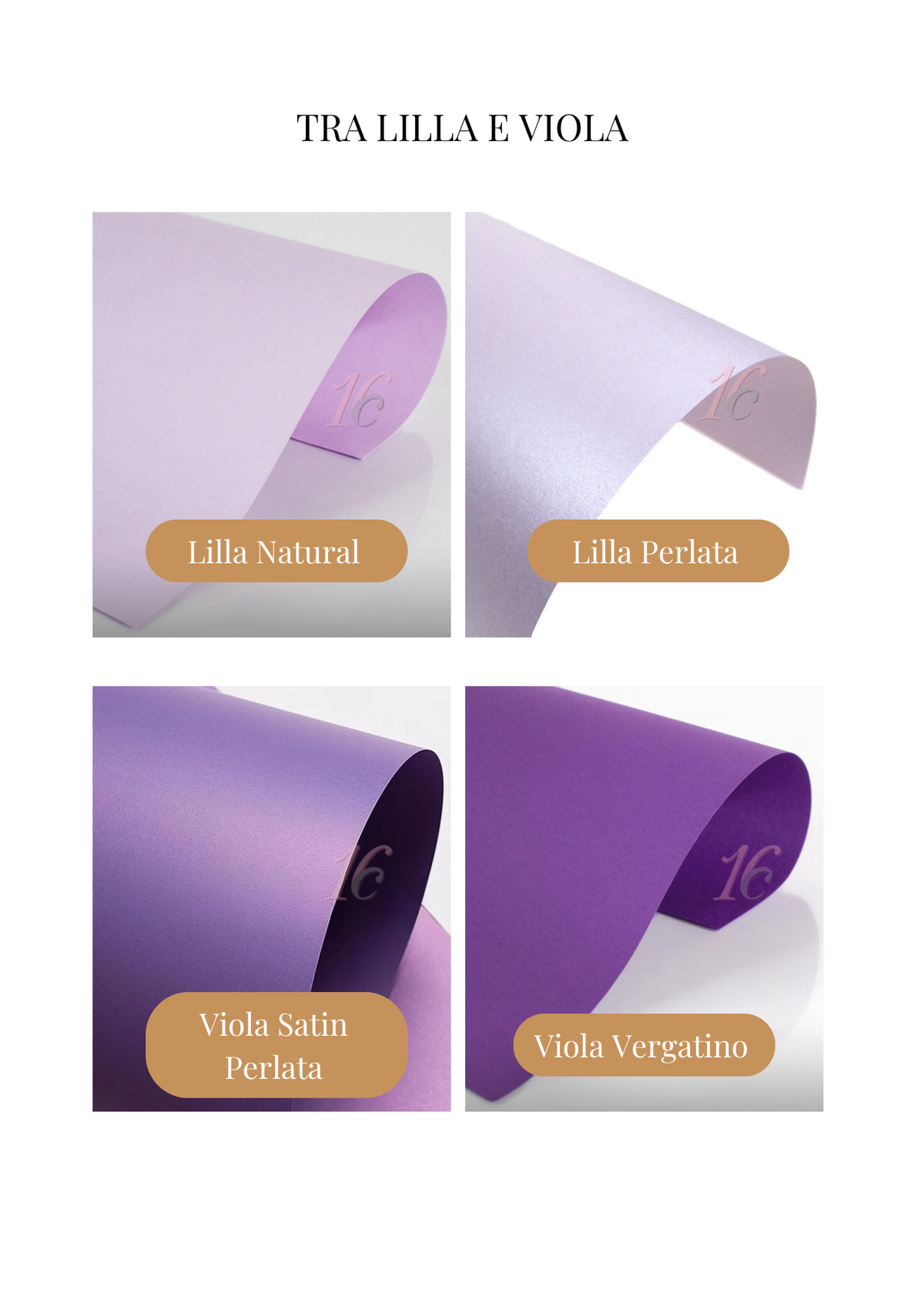 Porta confetti Laurea – Scatola a Scorrimento Degustazione (5 Confetti)