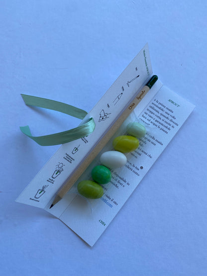 Confezione regalo porta Matita Seminabile personalizzata per Comunione-Cresima