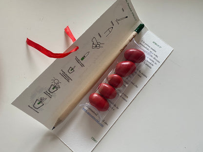 Confezione regalo porta Matita Seminabile personalizzata per Laurea