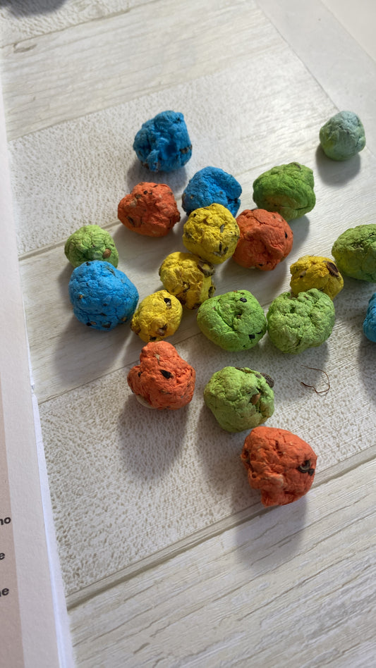 Idea regalo Maestre – Cofanetto a Scorrimento con Bombe di Semi e Matita Seminabile