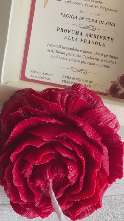 Peonia in cera di soia in cofanetto regalo personalizzato Laurea
