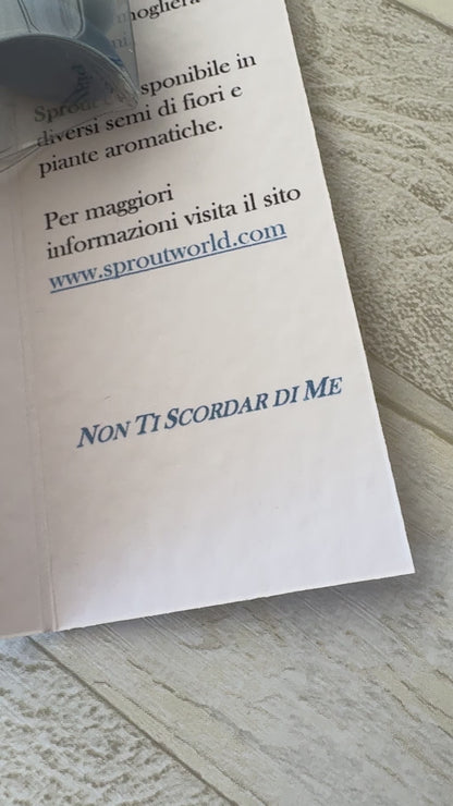 Bomboniera Comunione e Cresima con Matita Seminabile – Astuccio Pieghevole